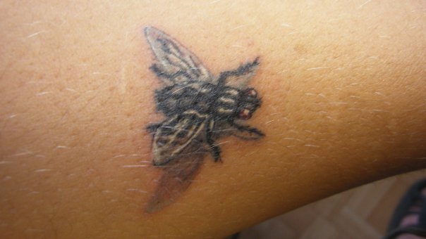 nice small tattoo of fly on a hand