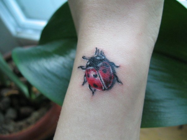 cute ladybird hand tattoo very small tattoo